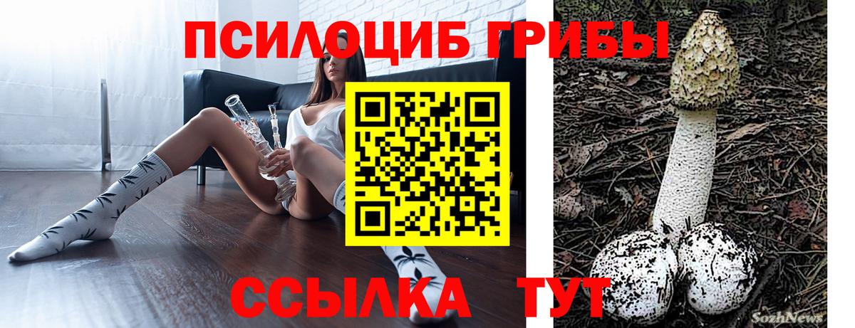 Галлюциногенные грибы Psilocybine cubensis Борисоглебск