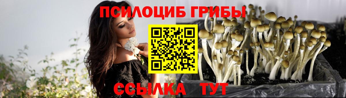 Борисоглебск  Галлюциногенные грибы прущие грибы  Псилоцибиновые грибы мицелий  купить наркотик  Вход с VPN 