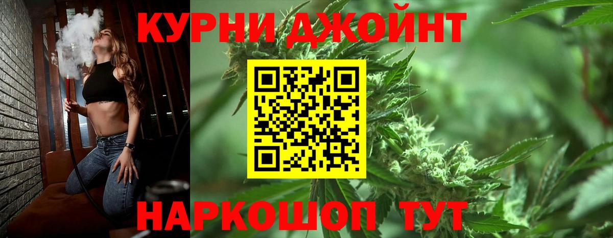 Конопля гибрид Борисоглебск